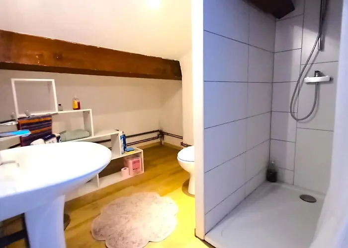 Апартаменти Duplex Atypique Centre Historique *